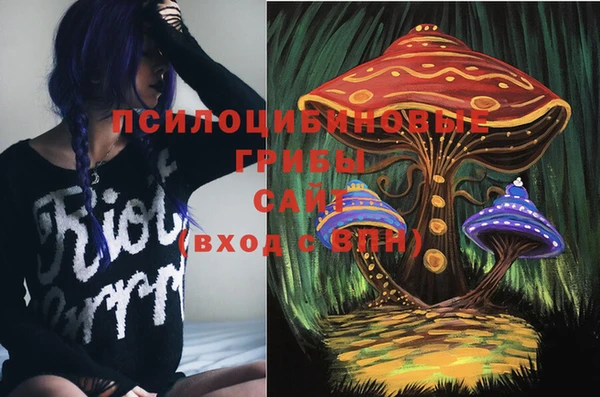 кокс Алексин