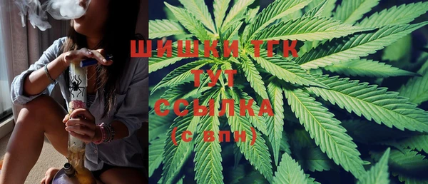 гидра Покачи
