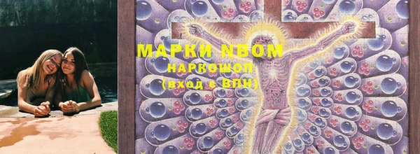 кокс Алексин