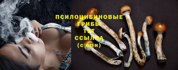 кокс Алексин