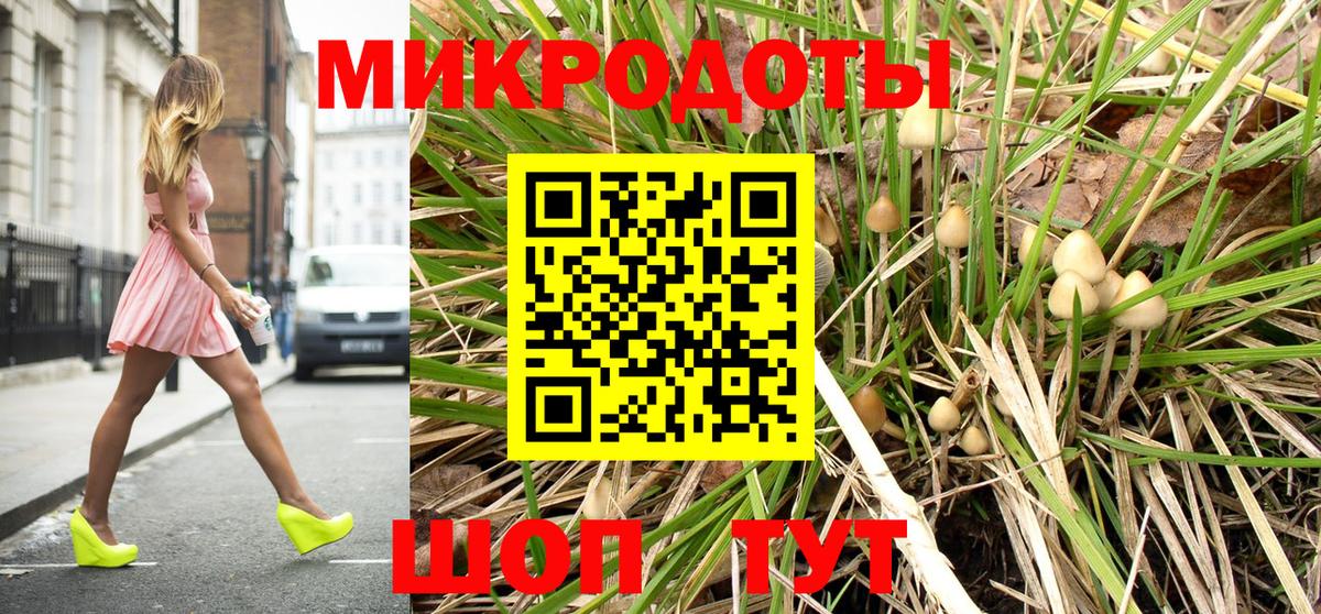 Псилоцибиновые грибы Psilocybe  Вход с VPN  Слободской 